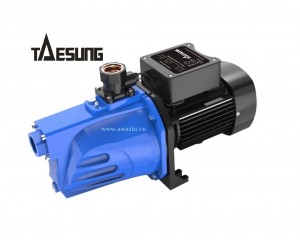 Máy bơm nước chân không đầu JET TAESUNG TSJ- 750
