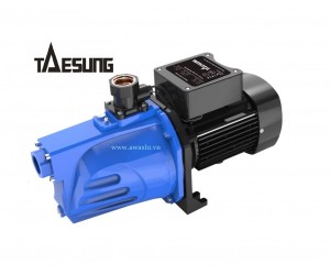 Máy bơm nước chân không đầu JET TAESUNG TSJ- 1500