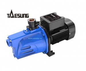 Máy bơm nước chân không đầu JET TAESUNG TSJ- 1500
