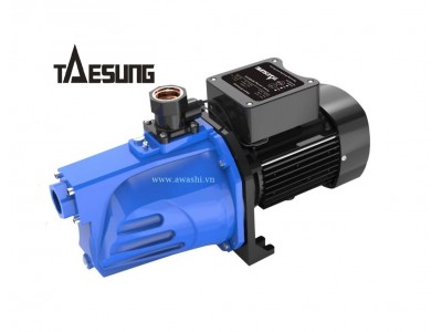 Máy bơm nước chân không đầu JET TAESUNG TSJ- 750